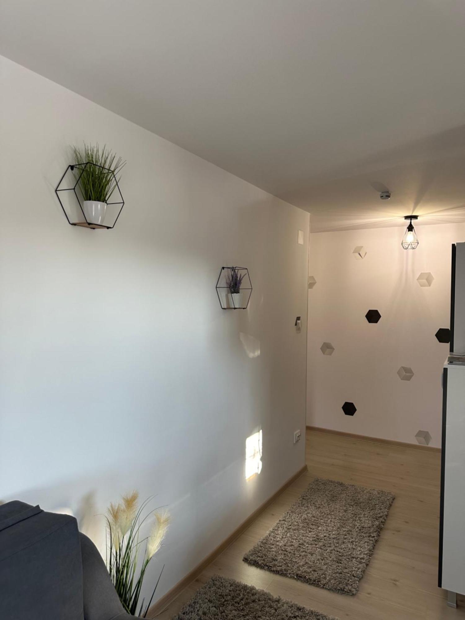 Jokai Apartments Nr7, Code Entry Sfântu-Gheorghe Buitenkant foto
